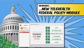 Telehealth Policy Issues: Federal