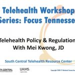 Telehealth Workshop Series: Focus Tennessee - Policy & Regulation