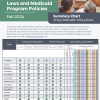 CCHP 2024 Medicaid Fall 2024 Summary for All States